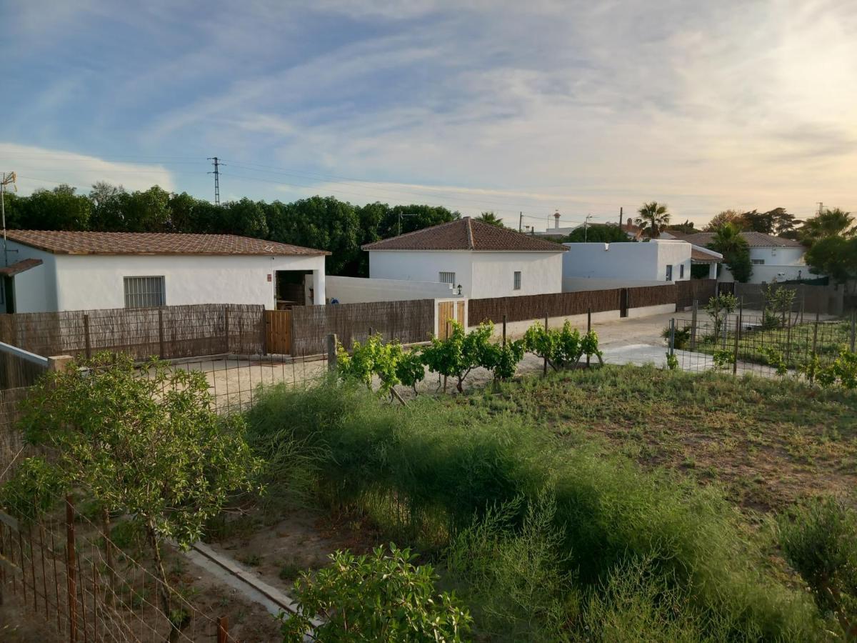 Apartamentos Cala Isabel Zahora Eksteriør bilde